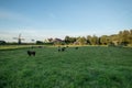 Dutch rural house and field landscape