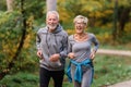 Cheerful active senior couple jogging in the park