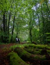 Cheerful adult hikers walking along a picturesque path outdoors