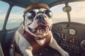 Cheerful, adventurous bulldog is the pilot of a, happily posing in the cockpit, AI-generated