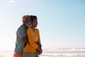 Cheerful african american bearded senior man embracing mature woman against sea and blue sky Royalty Free Stock Photo
