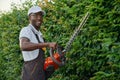 Cheerful african guy in uniform pruning green bushes