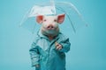 Cheerful anthropomorphic pig with umbrella celebrating rainy day.