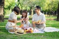 Cheerful Asian family of three having fun together at summer picnic outdoors in the park. Royalty Free Stock Photo