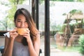 Cheerful asian young woman drinking warm coffee or tea enjoying it while sitting in cafe. Royalty Free Stock Photo