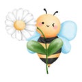 Cheerful baby bee with white daisy flower watercolor clipart, Hand drawn cute bumblebee and floral illustration Royalty Free Stock Photo