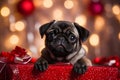 Cheerful baby pug in festive Christmas setting