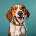 Cheerful Beagle Dog On Blue Background - Graflex Speed Graphic Style