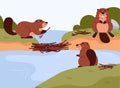 Cheerful beavers building dam on river, cartoon flat vector illustration.