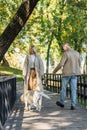 Cheerful blonde woman looking at labrador Royalty Free Stock Photo