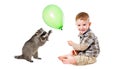 Cheerful boy with a balloon and a raccoon Royalty Free Stock Photo