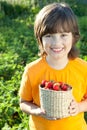 Cheerful boy with a basket of berries Royalty Free Stock Photo