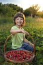 Cheerful boy with basket of berries in the summer green nature background Royalty Free Stock Photo