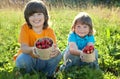 Cheerful boy with basket of berries Royalty Free Stock Photo