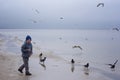 A cheerful boy feeds gulls on the seashore in winter, spring or autumn. many gulls are flying around. Cold day by the sea. Royalty Free Stock Photo