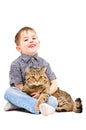 Cheerful boy hugging a cat Scottish Straight Royalty Free Stock Photo