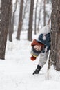 Cheerful boy peeks out from behind tree. Child in knitted hat walks through winter snow-kept park. Vertical frame Royalty Free Stock Photo