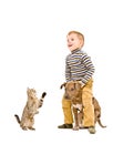 Cheerful boy playing with a puppy  and cat Royalty Free Stock Photo