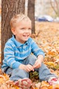 Cheerful boy sitting on yellow foliage .