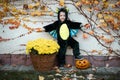 Cheerful Boy wearing in Halloween bat vampire costume Royalty Free Stock Photo