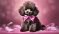 cheerful brown cocker spaniel with pink bow