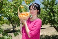 Cheerful brunette picking fruits Royalty Free Stock Photo