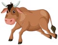 A cheerful bull with expressive eyes Royalty Free Stock Photo