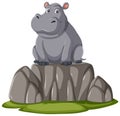 A hippopotamus sitting on rocks Royalty Free Stock Photo