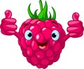 Cheerful Cartoon Raspberry character