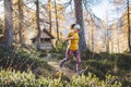 Cheerful caucasian woman on a hike running trough the autumn forest, sun rays shining trough the trees Royalty Free Stock Photo