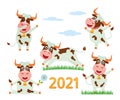 The cheerful character of the bull is a symbol of the Chinese new 2021. Royalty Free Stock Photo