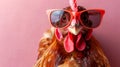 Cheerful chicken wearing stylish sunglasses on pastel background with copy space