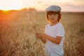 Cheerful child, boy, chasing soap bubbles in a wheat field on sunset Royalty Free Stock Photo