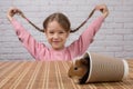 Cheerful child girl, sitting at the table, holding pigtails with her hands, on the table a guinea pig Royalty Free Stock Photo