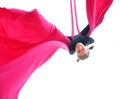 Cheerful child training on aerial silks