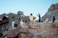 Cheerful Colorful aqua park slides with penguins. Dubai, UAE, outdoor Ice Land water park Royalty Free Stock Photo