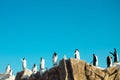 Cheerful Colorful aqua park slides with penguins. Dubai, UAE, panorama Ice Land waterpark Royalty Free Stock Photo