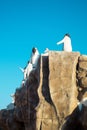 Cheerful Colorful aqua park slides with penguins. Dubai, UAE, panorama Ice Land waterpark Royalty Free Stock Photo