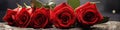 A cheerful colorful banner with large scarlet roses for the design of the website for Valentine\'s Day. Generated by AI