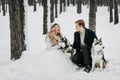 Cheerful couple are playing with siberian husky in snowy forest. Winter wedding Artwork Royalty Free Stock Photo