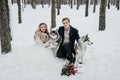 Cheerful couple are playing with siberian husky in snowy forest. Winter wedding Artwork Royalty Free Stock Photo