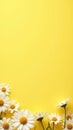 Cheerful daisy banner on sunny yellow backdrop Royalty Free Stock Photo
