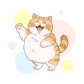 Cheerful Dancing Tabby Cat with Colorful Circles Background