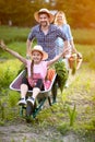 Cheerful daughter in wheelbarrow with father