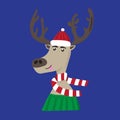 Cheerful deer in a cap, sweater and scarf Royalty Free Stock Photo