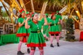 Cheerful diversity male and female group of christmas elves performing during celebration party