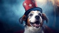 Cheerful dog in a magician's hat