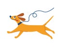 Cheerful dog is running. Cute dog on a leash. Cartoon pet. Best friend. Flat character vector illustration in flat style isolated Royalty Free Stock Photo