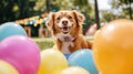 A cheerful dog surrounded by colorful balloons in a park setting Royalty Free Stock Photo