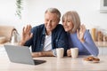 Cheerful elderly couple making video call while drinking coffee Royalty Free Stock Photo